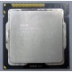 Процессор Intel Celeron G530 (2x2.4GHz /L3 2048kb) SR05H s.1155 (Димитровград)