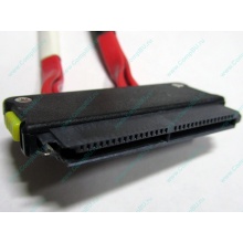 SATA-кабель для корзины HDD HP 451782-001 459190-001 для HP ML310 G5 (Димитровград)