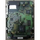 Жесткий диск 18.4Gb Quantum Atlas 10K III U160 SCSI (Димитровград)