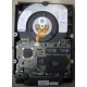 Жесткий диск 18.2Gb IBM Ultrastar DDYS-T18350 Ultra3 SCSI (Димитровград)
