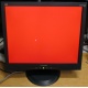 Монитор 19" ViewSonic VA903b (1280x1024) есть битые пиксели (Димитровград)