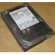 HDD 500Gb Hitachi HDS721050DLE630 донор на запчасти (Димитровград)