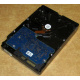 Электроника HDD 500Gb Hitachi HDS721050DLE630 (Димитровград)