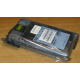 Жесткий диск HP 356910-008 404708-001 146.8Gb ATLAS 10K BD146BA4B5 (Димитровград)
