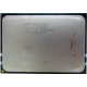 AMD Opteron 6128 OS6128WKT8EGO (Димитровград)