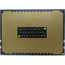 AMD Opteron 6128 OS6128WKT8EGO (Димитровград)