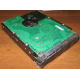 Жесткий диск 300Gb 15k Seagate Cheetach ST3300656SS 15K.6 Dell 9CH066-050 6G SAS (Димитровград)